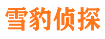 屯留市婚外情调查